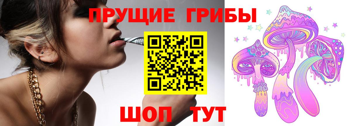 купить наркоту  Псилоцибиновые грибы MAGIC MUSHROOMS  Вход с VPN  Тула 