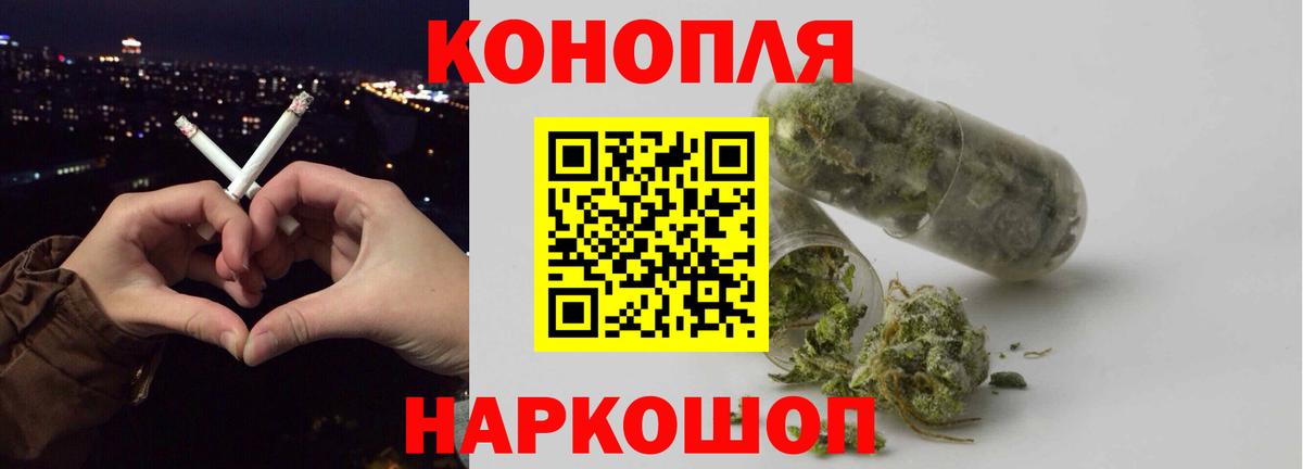 Тула  Бошки Шишки планчик  Каннабис сатива  Вход с VPN 